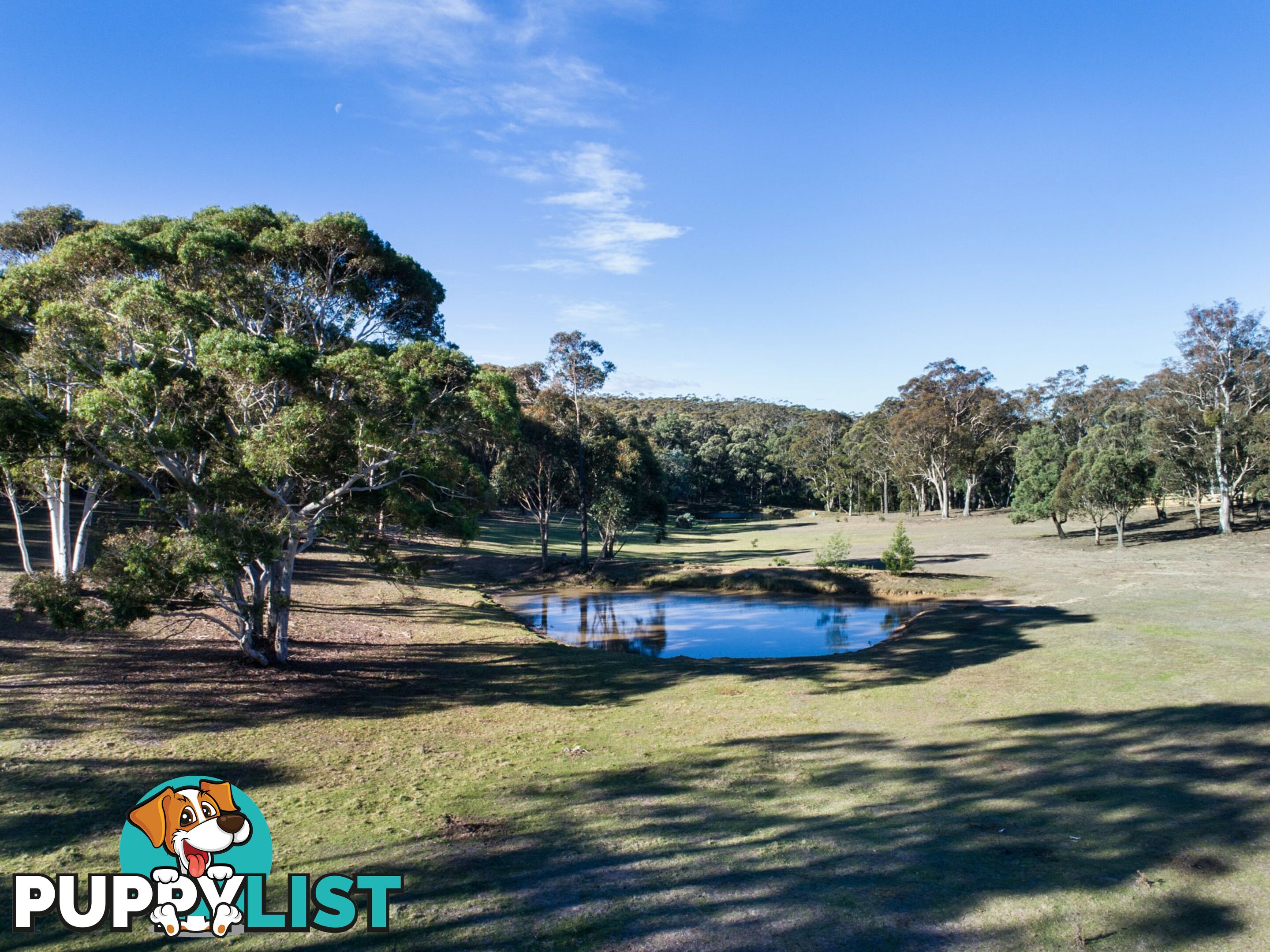 19 Old Macquarie Road BIG HILL NSW 2579