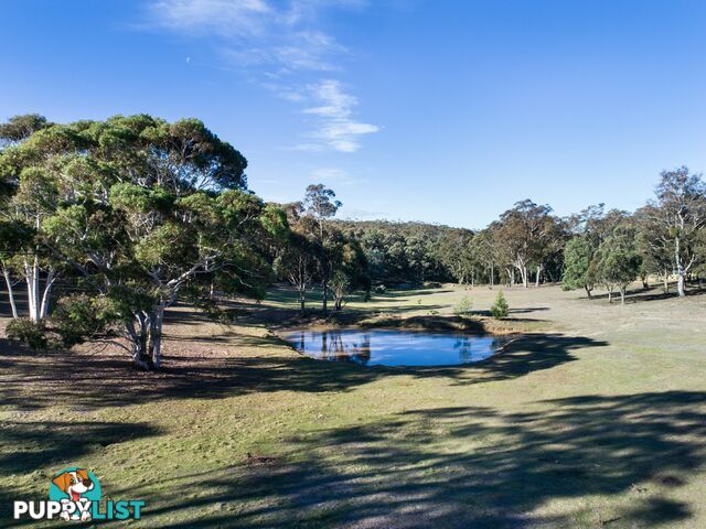 19 Old Macquarie Road BIG HILL NSW 2579