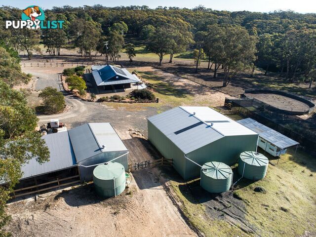 19 Old Macquarie Road BIG HILL NSW 2579