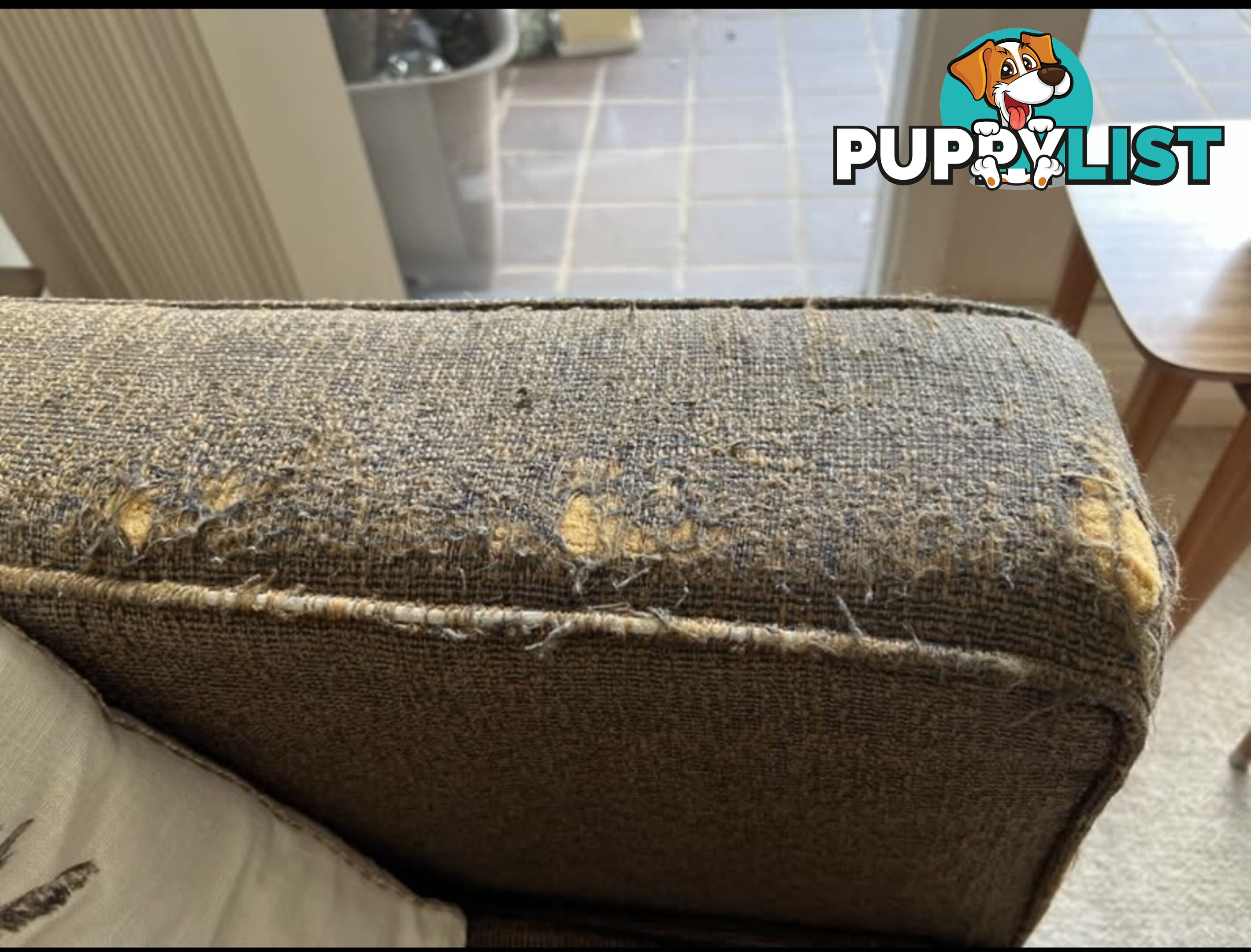 SOFA - Stylish, Sturdy; Rumpus Room Ideal.