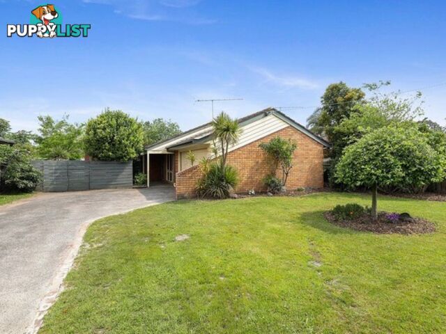 10 Purvis Street MOE VIC 3825