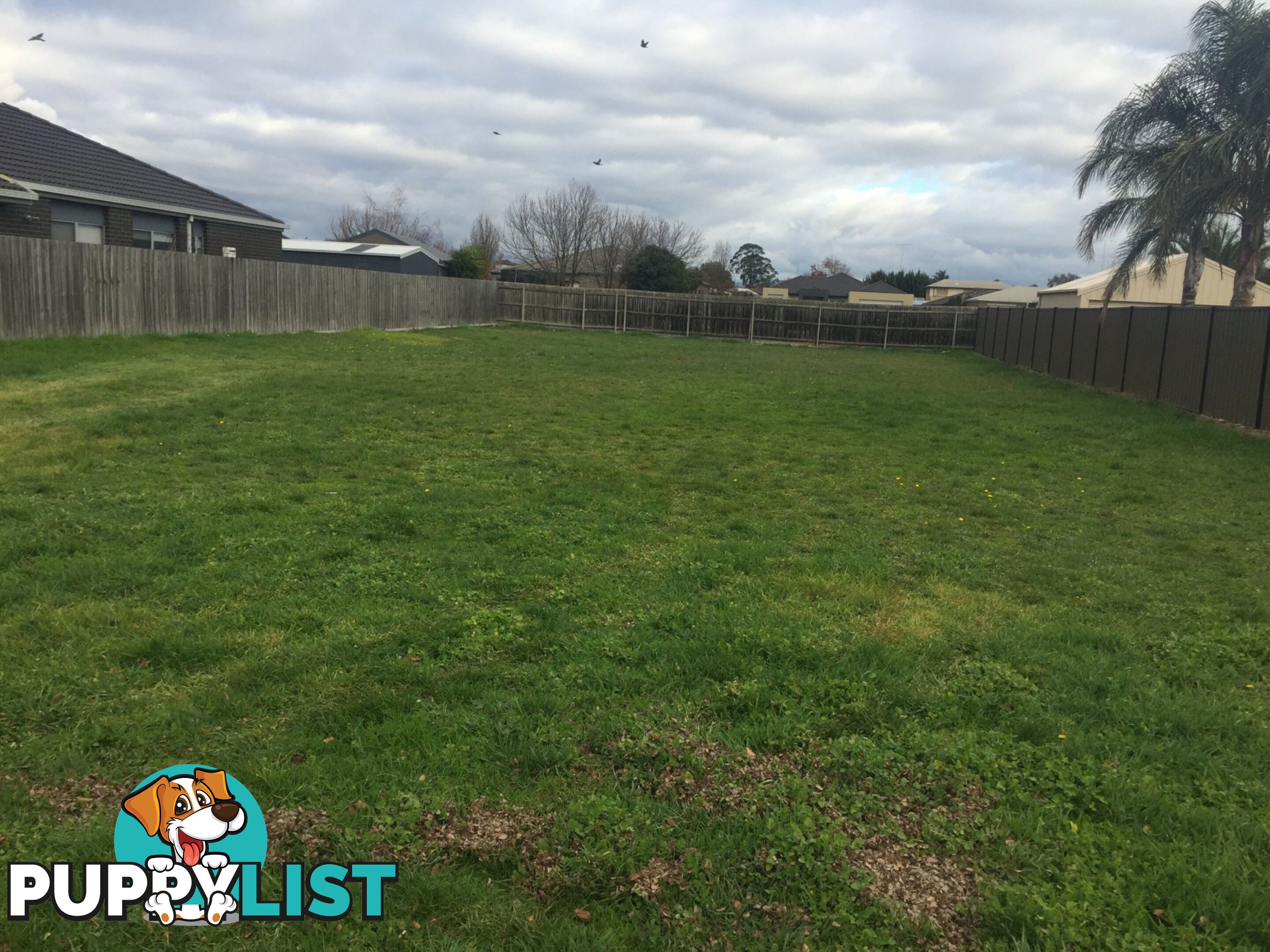 3 St Georges Road TRARALGON VIC 3844