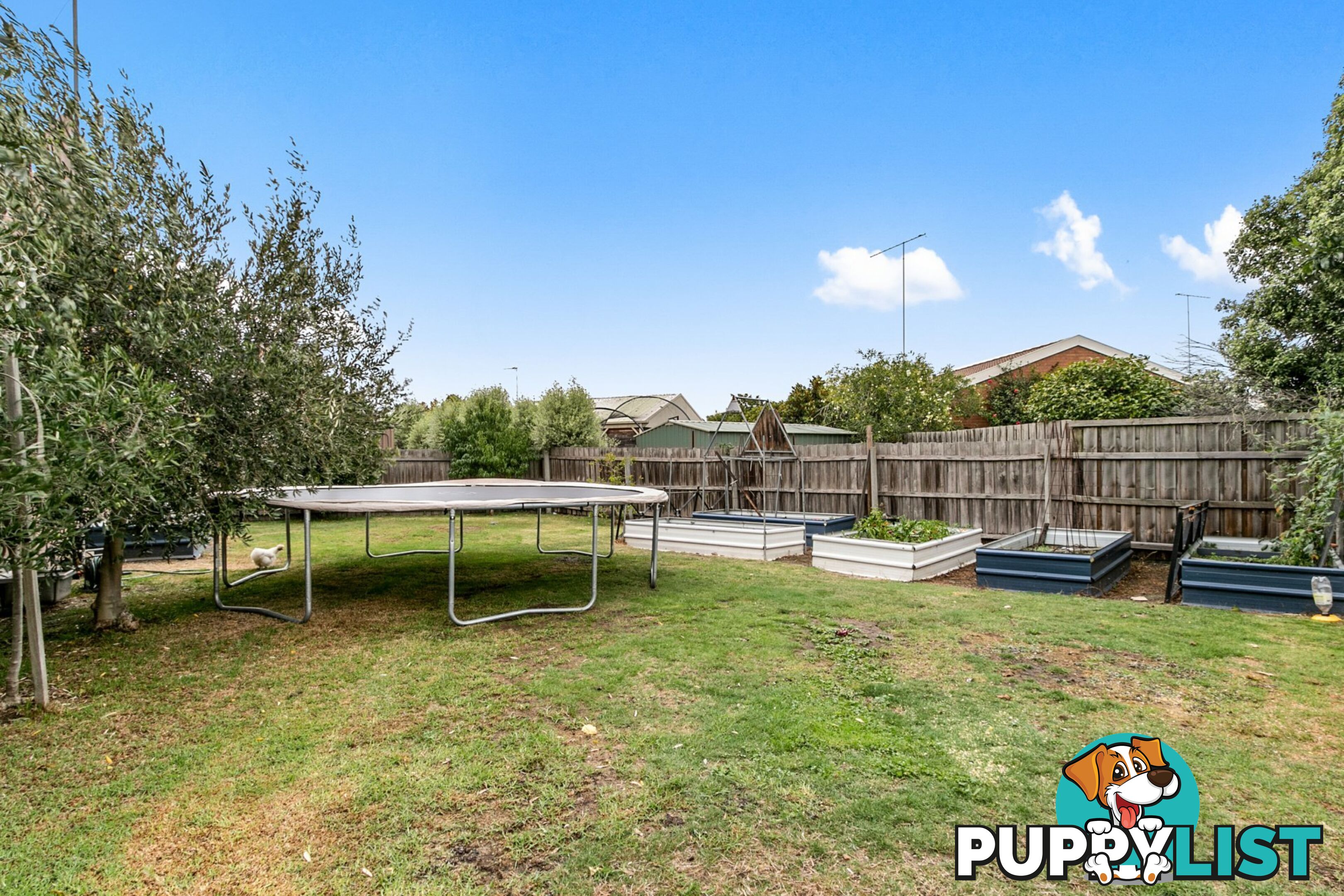 3 Trent Court TRARALGON VIC 3844