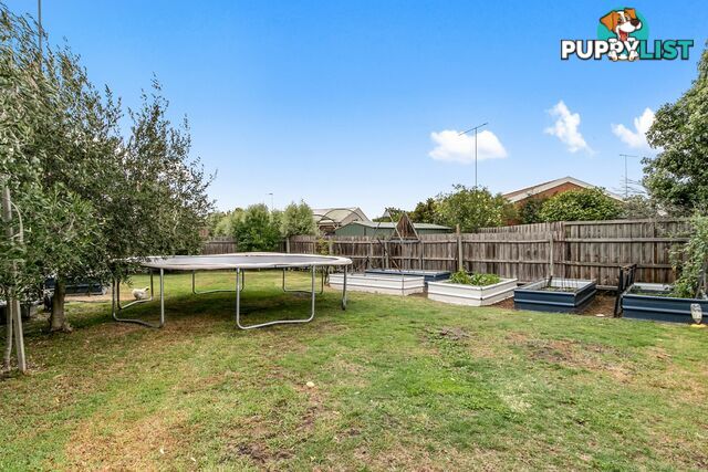 3 Trent Court TRARALGON VIC 3844