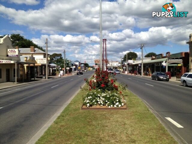 Lot 8/38 Ridge Views Estate ROSEDALE VIC 3847