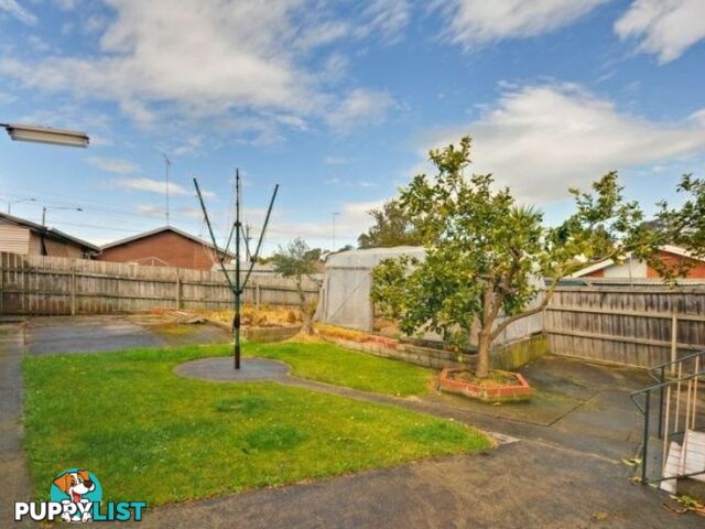 16 Jackson Street TRARALGON VIC 3844