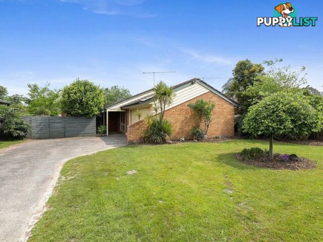 10 Purvis Street MOE VIC 3825