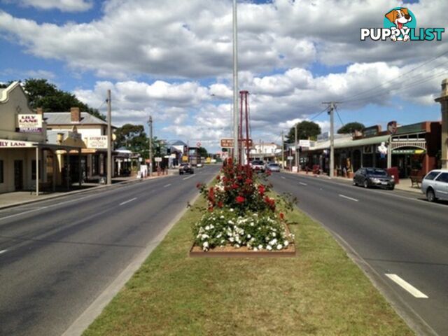 Lot 6/38 Ridge Views Estate ROSEDALE VIC 3847