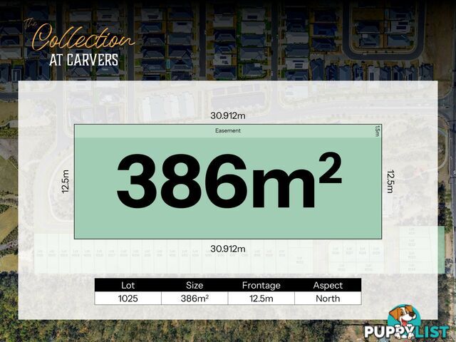 Lot 1027 Carvers Way PARK RIDGE QLD 4125