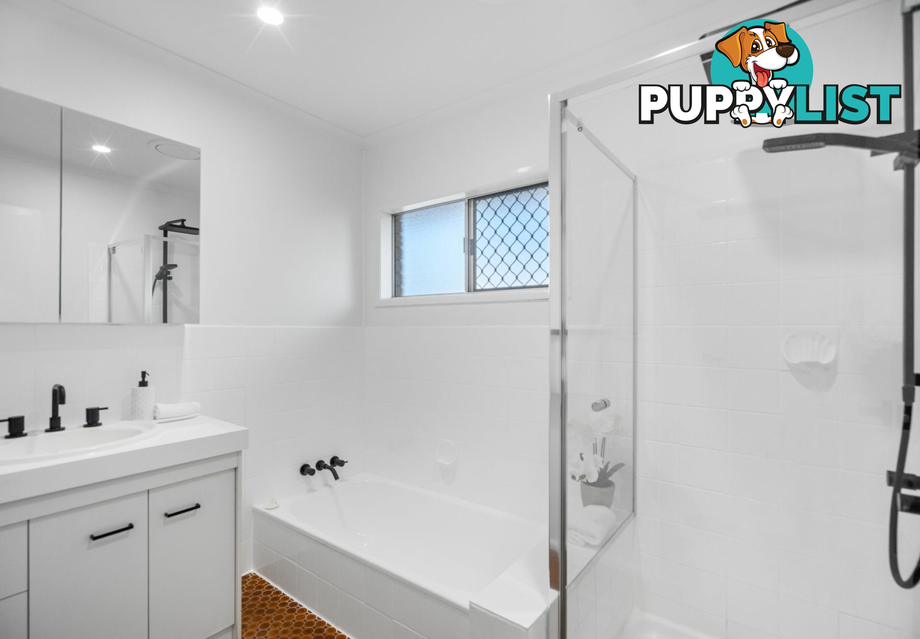 16 Zorina Street BROWNS PLAINS QLD 4118