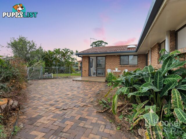 14 Driftwood Street SUNNYBANK HILLS QLD 4109