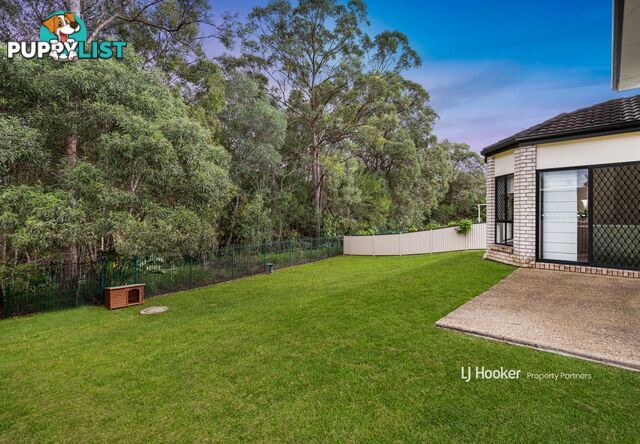 20 King Place DREWVALE QLD 4116