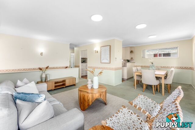 16 Aylton Street COOPERS PLAINS QLD 4108