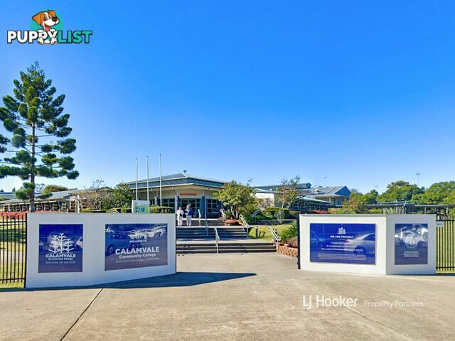 11 Khoo Place CALAMVALE QLD 4116