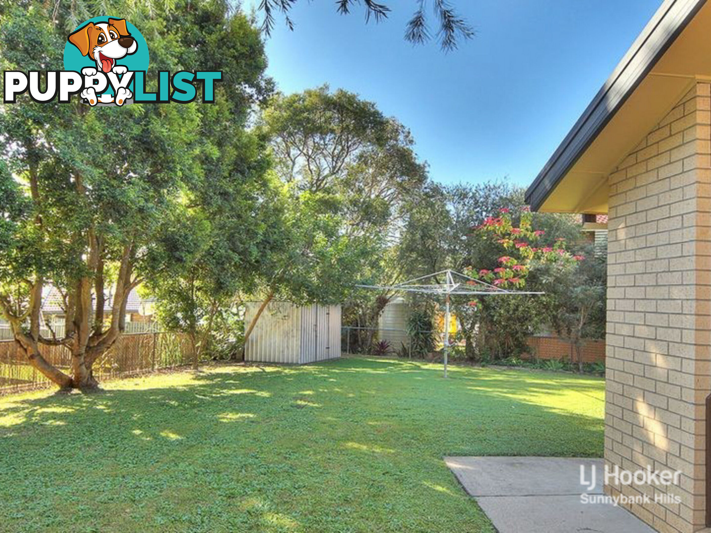 5 Terowi Street SUNNYBANK HILLS QLD 4109