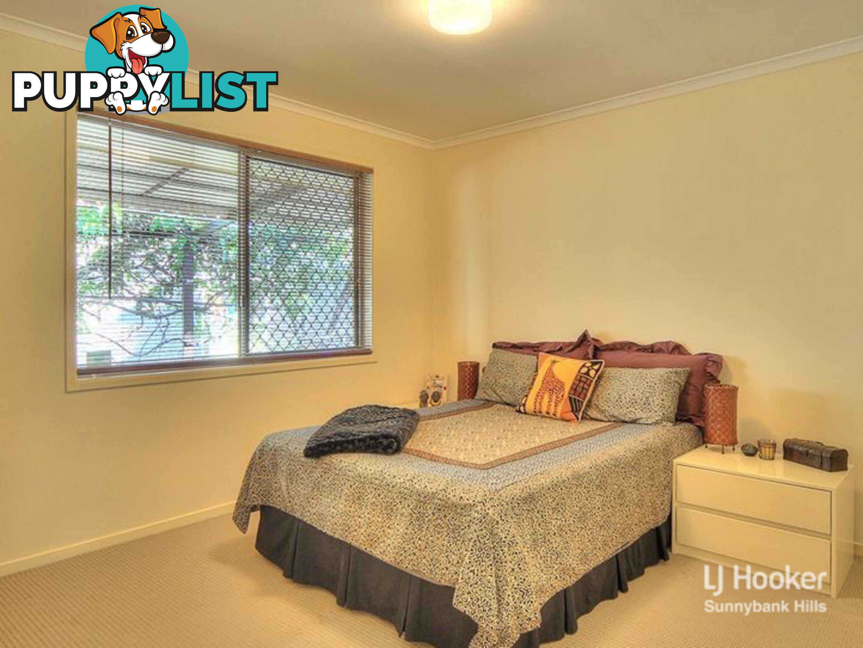 5 Terowi Street SUNNYBANK HILLS QLD 4109