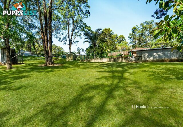 161 Paradise Road WILLAWONG QLD 4110