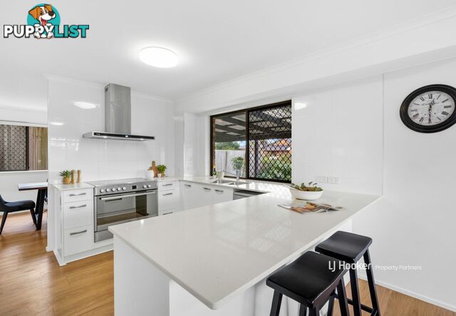 40 Pompadour Street SUNNYBANK HILLS QLD 4109