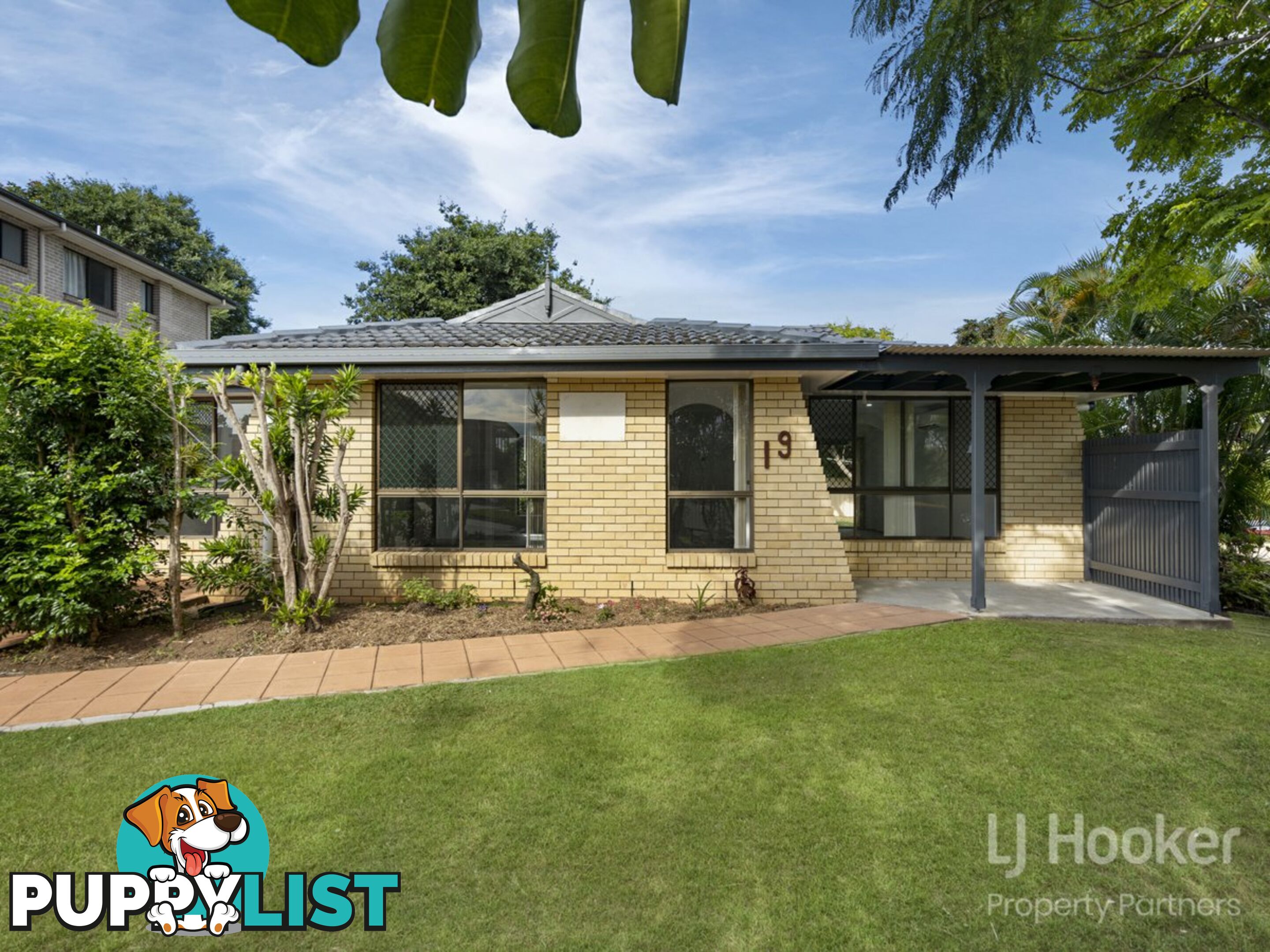 19 Konanda Street ALGESTER QLD 4115