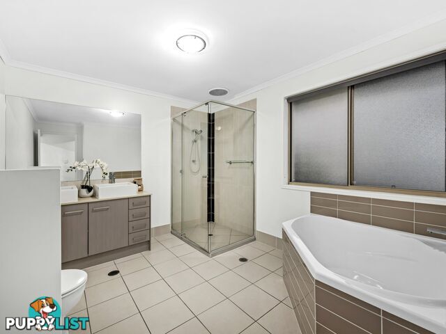 7 Bowers Street EIGHT MILE PLAINS QLD 4113