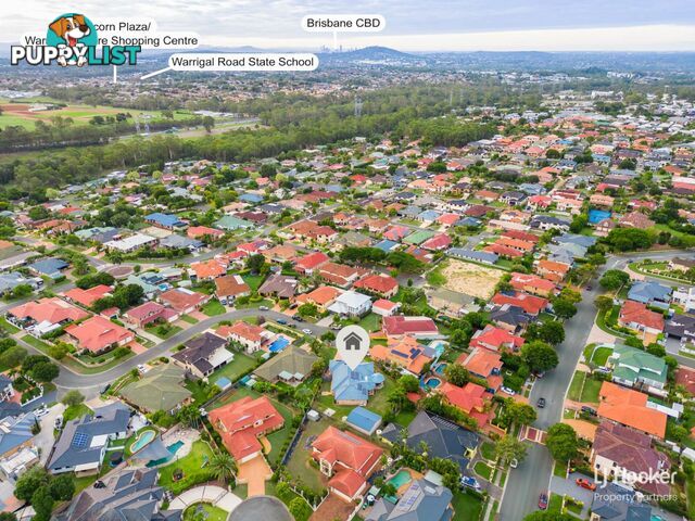 37 Courtney Place KURABY QLD 4112