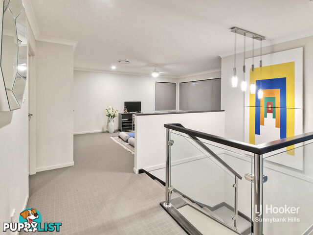 47 Callendar Street SUNNYBANK HILLS QLD 4109