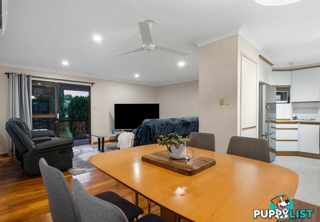 26 Terowi Street SUNNYBANK HILLS QLD 4109