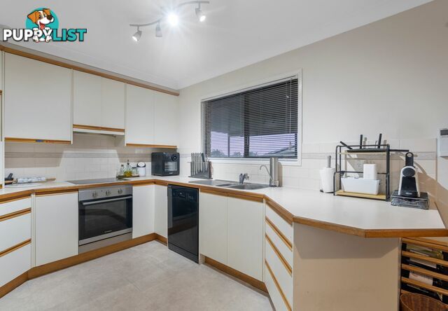 26 Terowi Street SUNNYBANK HILLS QLD 4109