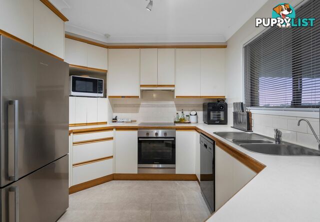 26 Terowi Street SUNNYBANK HILLS QLD 4109