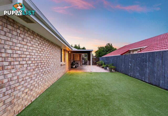 19 Robinson Crescent RUNCORN QLD 4113