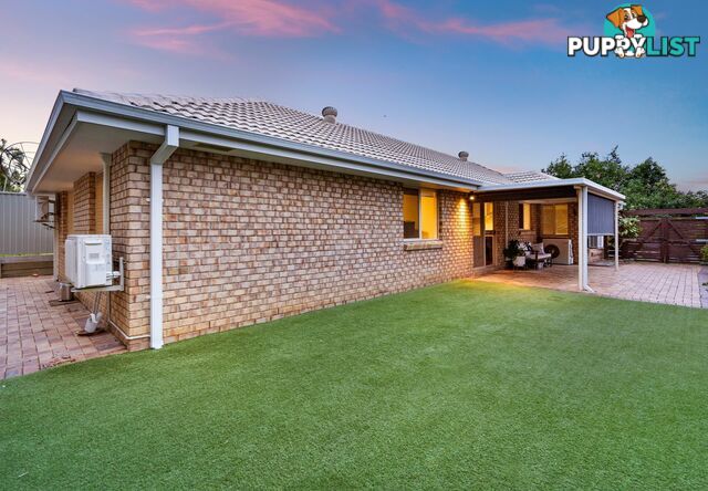 19 Robinson Crescent RUNCORN QLD 4113