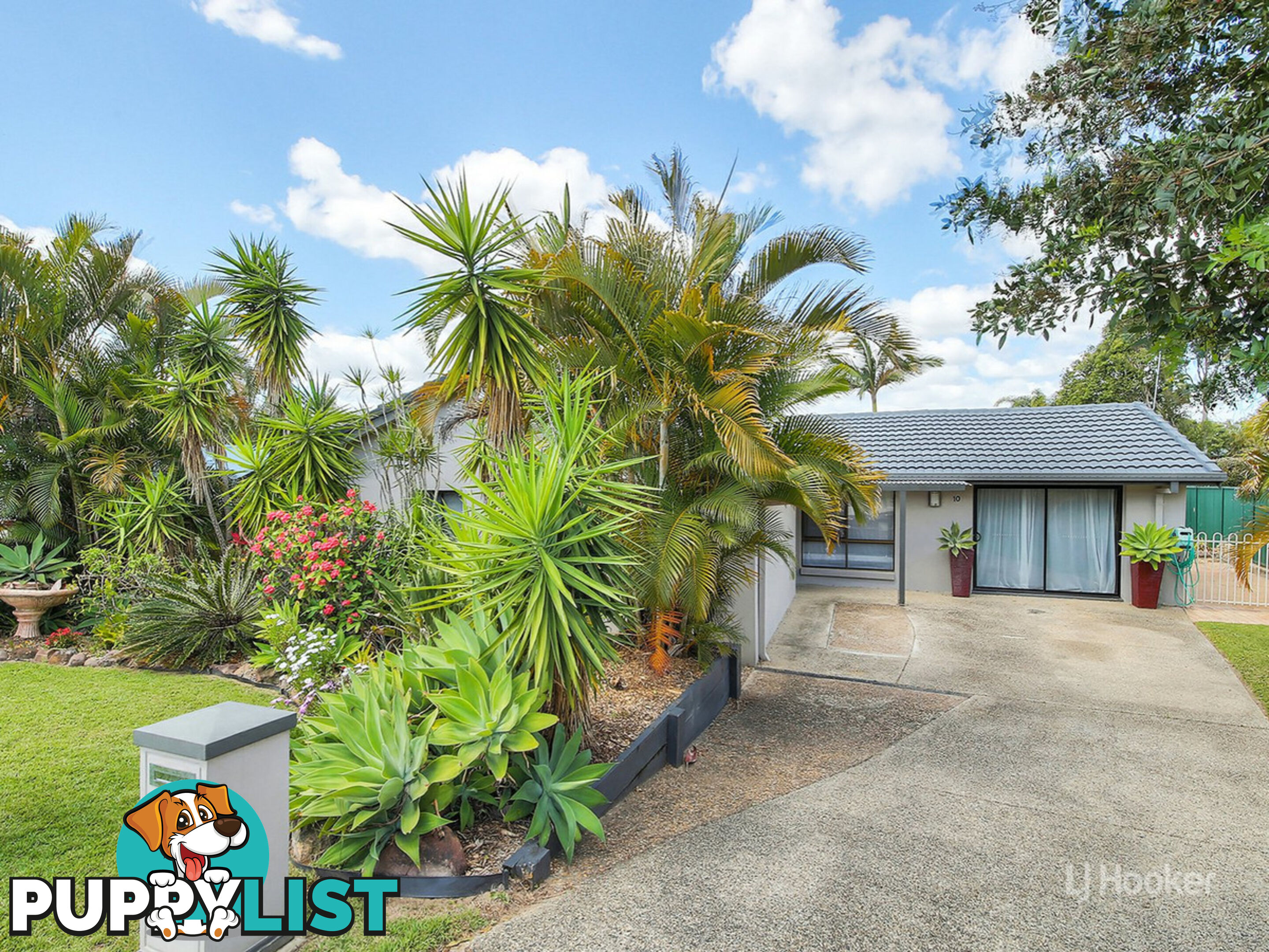 10 Owenia Street ALGESTER QLD 4115