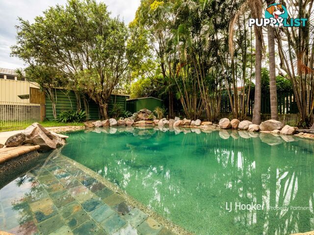 10 Clovelly Street SUNNYBANK HILLS QLD 4109