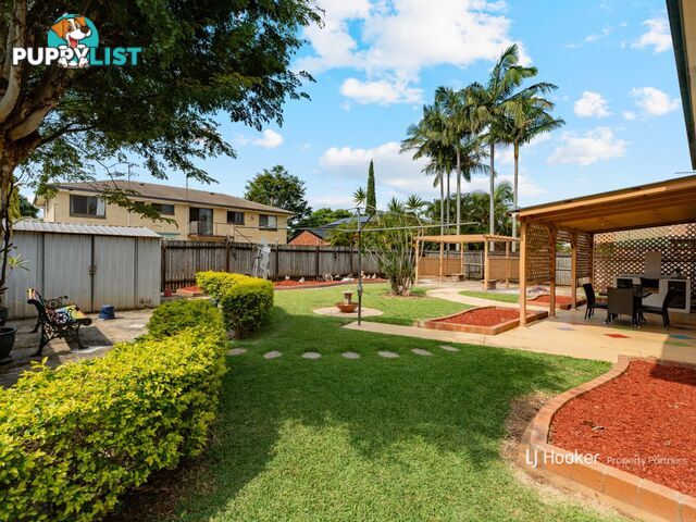 18 Mapleleaf Street EIGHT MILE PLAINS QLD 4113