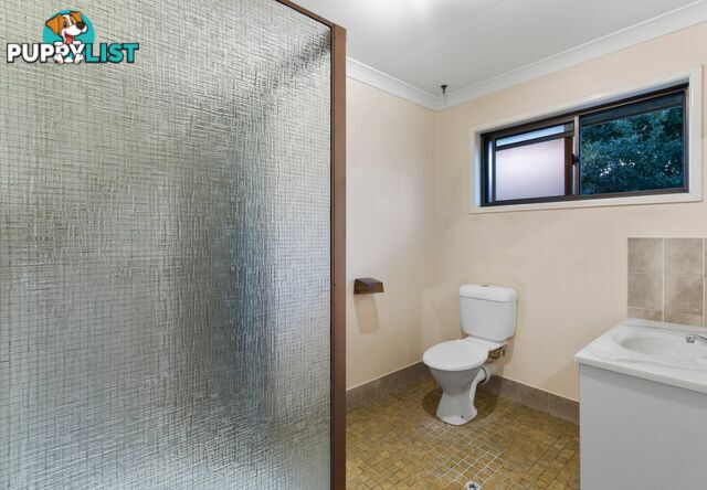 10 Genoa Street MACGREGOR QLD 4109