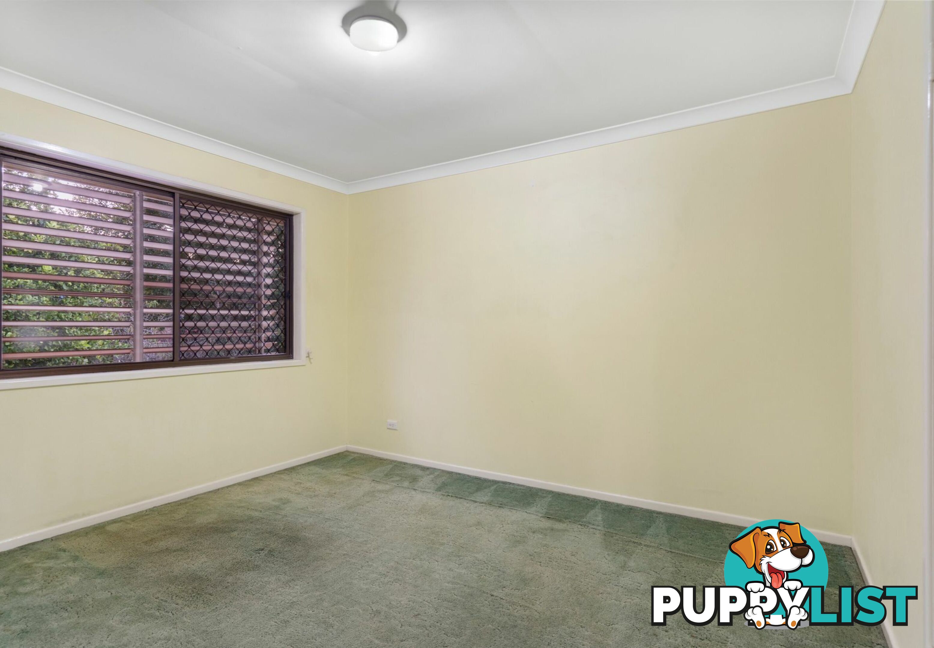 10 Genoa Street MACGREGOR QLD 4109