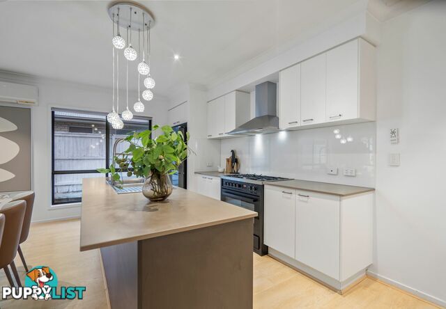 13 Maranoa Street THORNLANDS QLD 4164