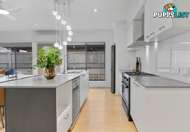 13 Maranoa Street THORNLANDS QLD 4164
