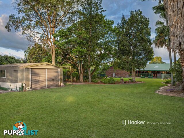 87 Birdsville Street GREENBANK QLD 4124