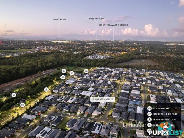 19 Cypress Street PARK RIDGE QLD 4125