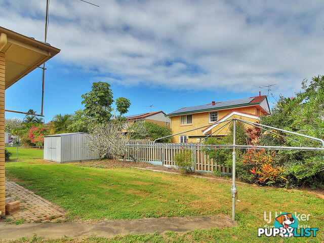 24 Blackwattle Street MACGREGOR QLD 4109