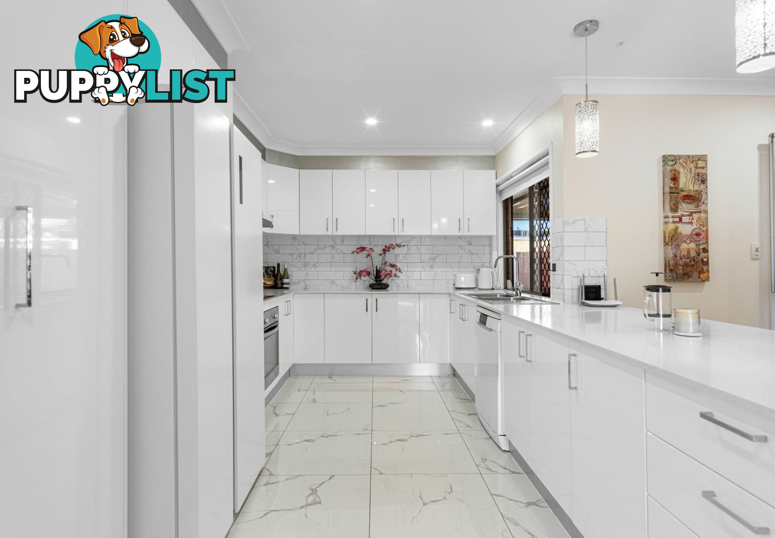 9 Leopardwood Street RUNCORN QLD 4113
