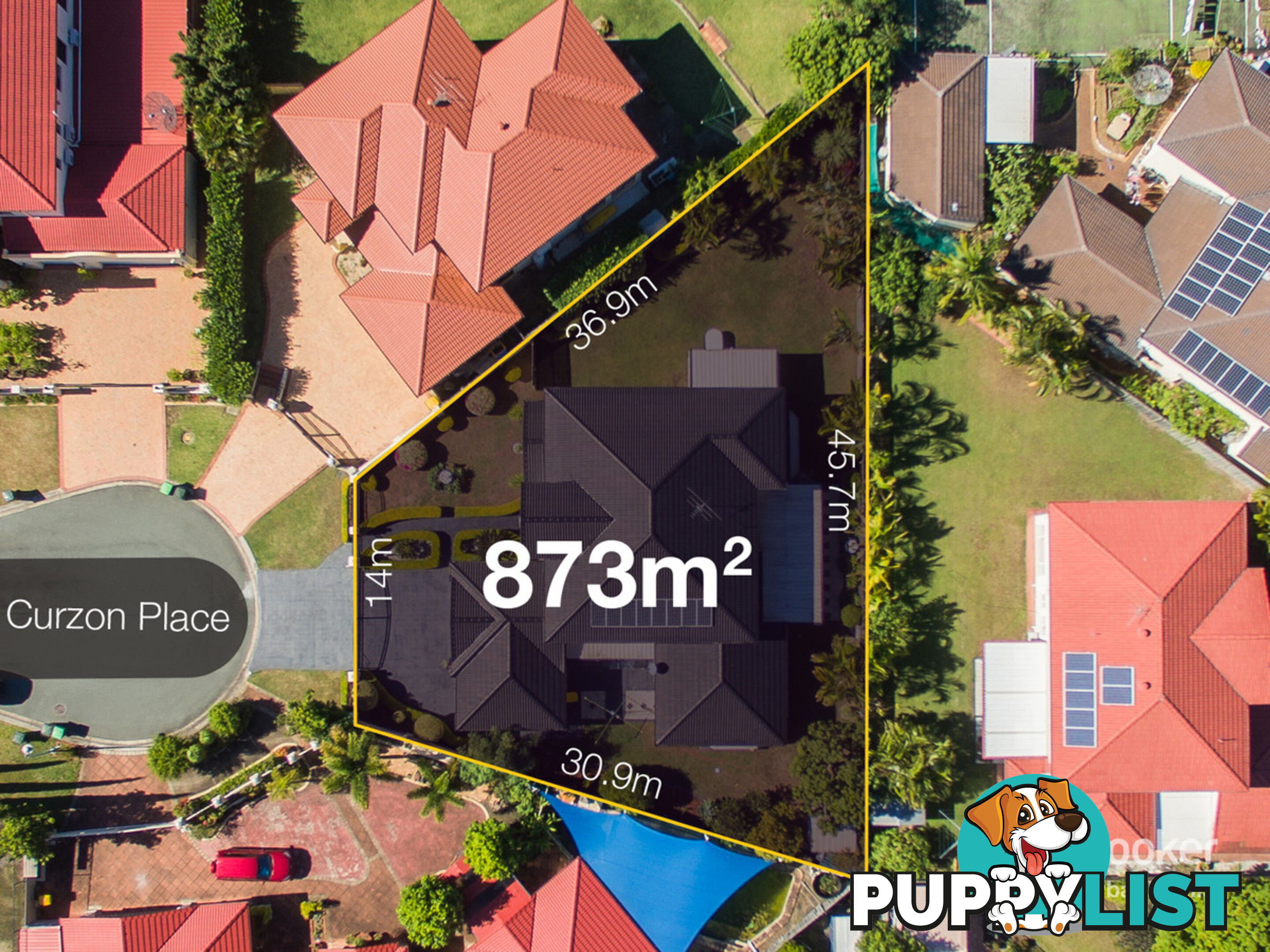 15 Curzon Place SUNNYBANK HILLS QLD 4109