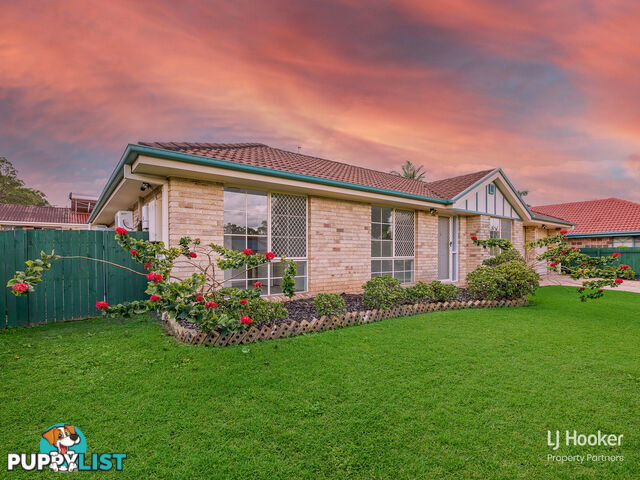 35 Solandra Crescent CALAMVALE QLD 4116