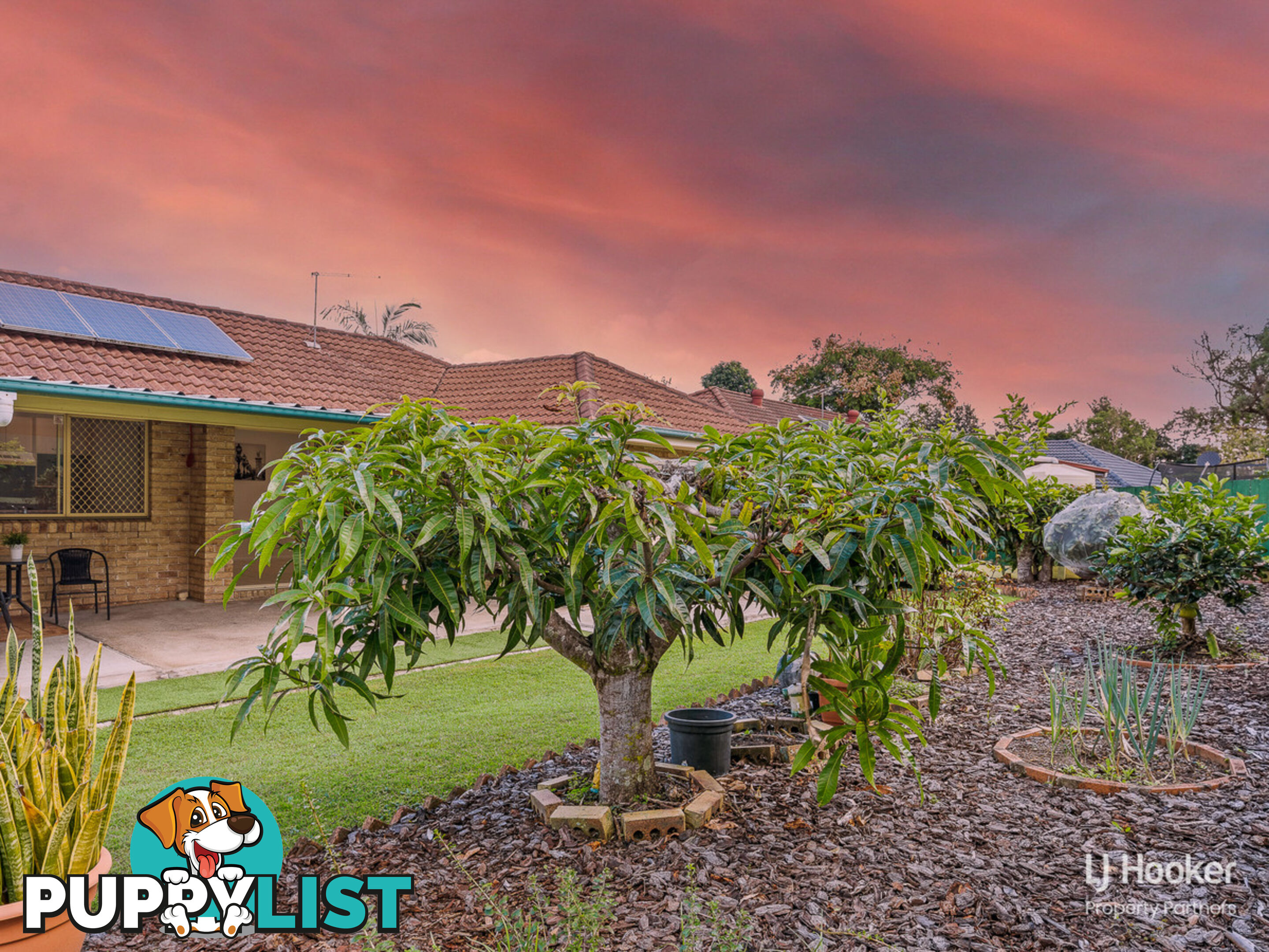 35 Solandra Crescent CALAMVALE QLD 4116