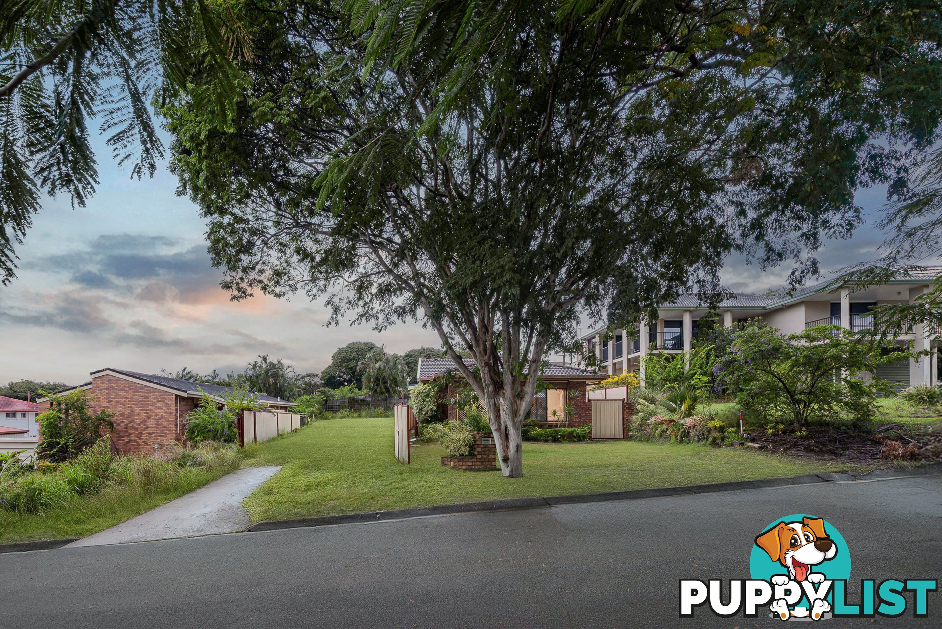 8 Lecha Street SUNNYBANK HILLS QLD 4109