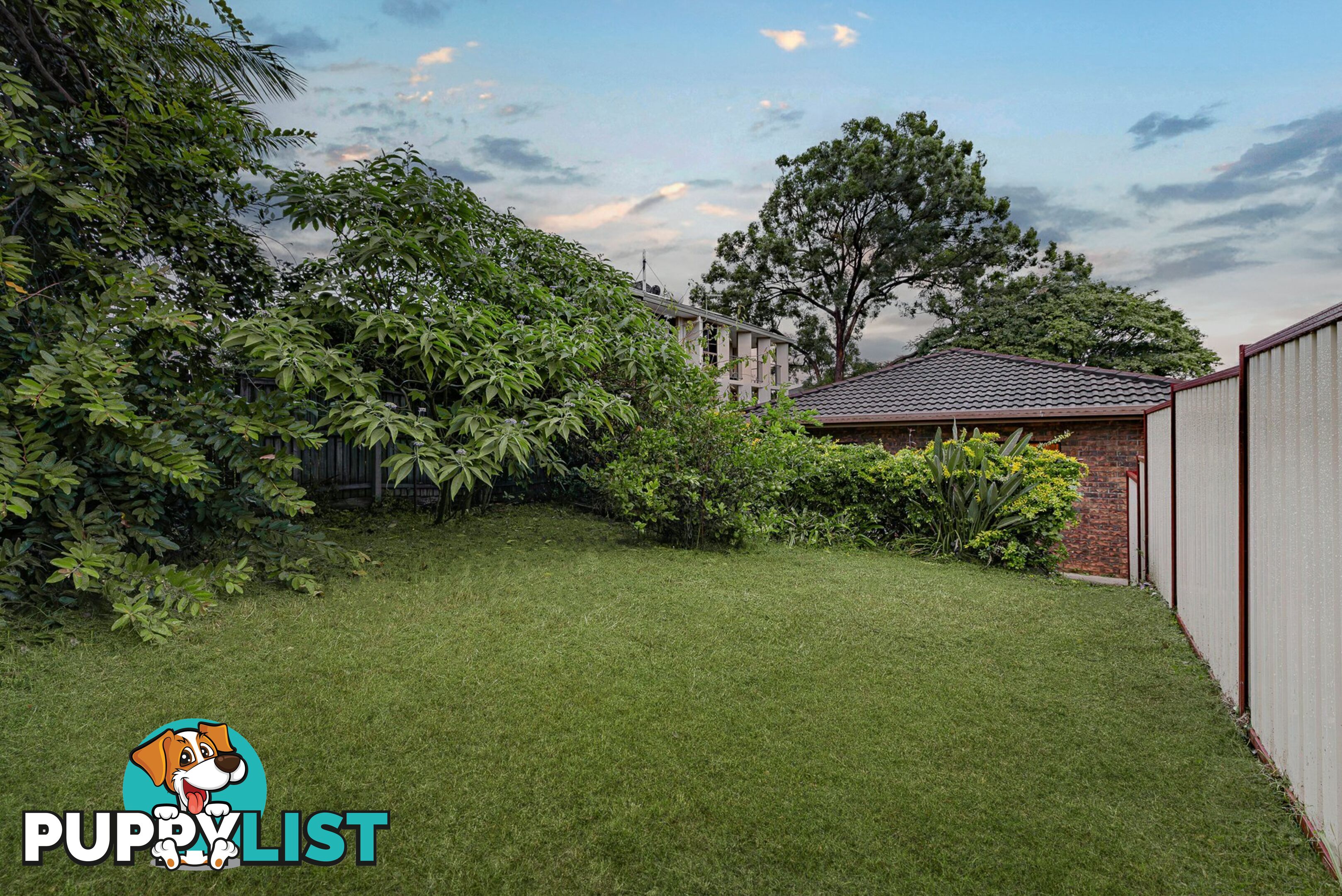 8 Lecha Street SUNNYBANK HILLS QLD 4109