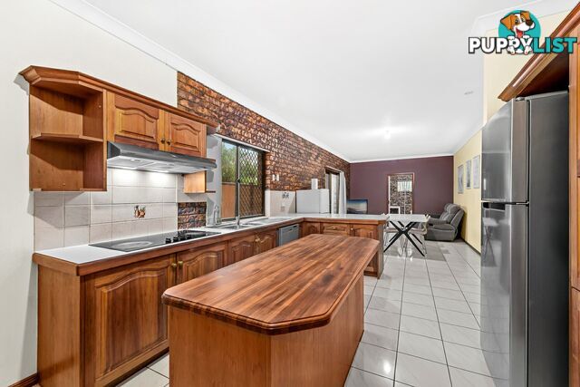 8 Lecha Street SUNNYBANK HILLS QLD 4109