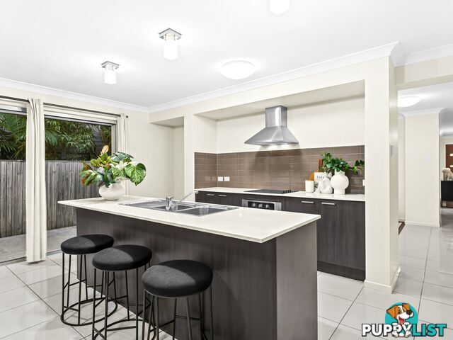 31 Obrist Place ROCHEDALE QLD 4123