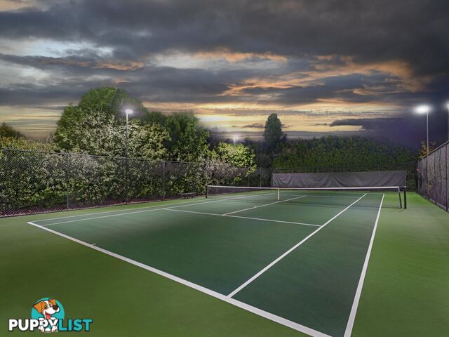 31 Obrist Place ROCHEDALE QLD 4123